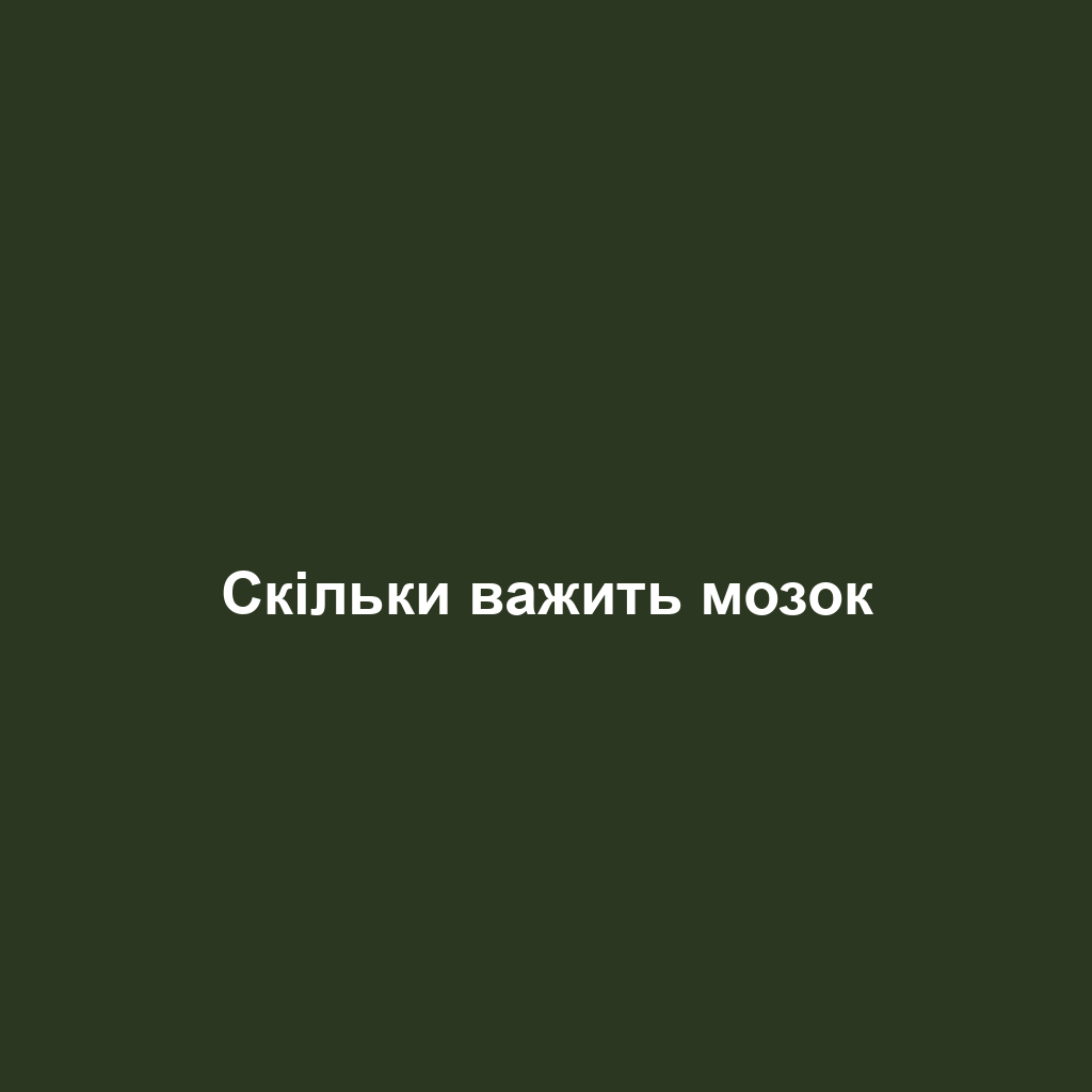 Скільки важить мозок